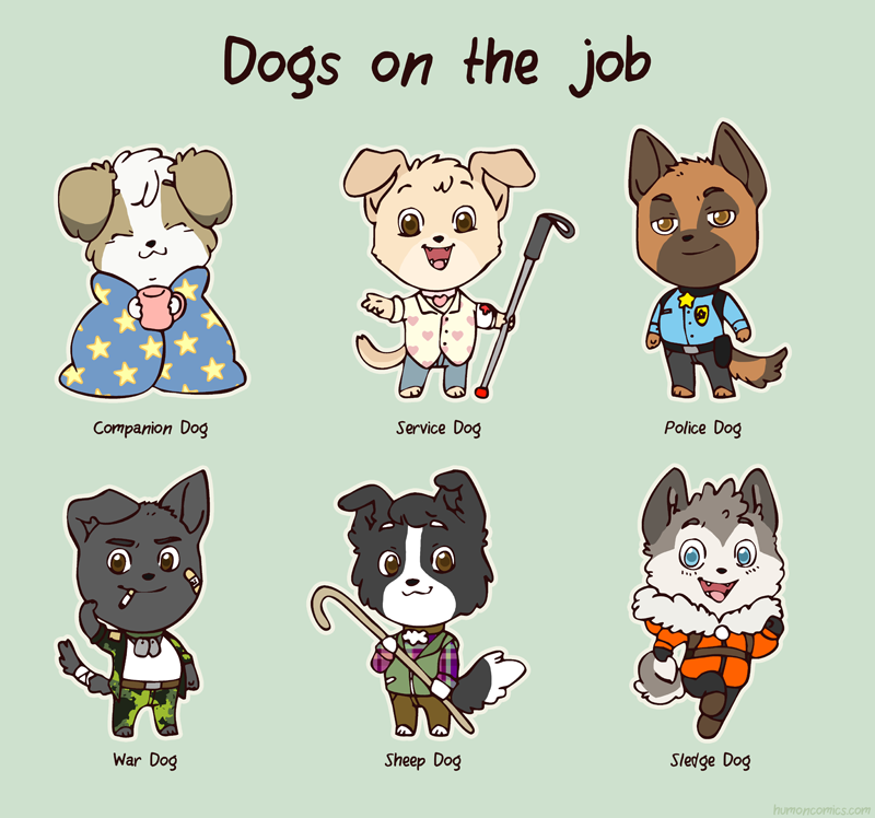 dogs-on-the-job.png