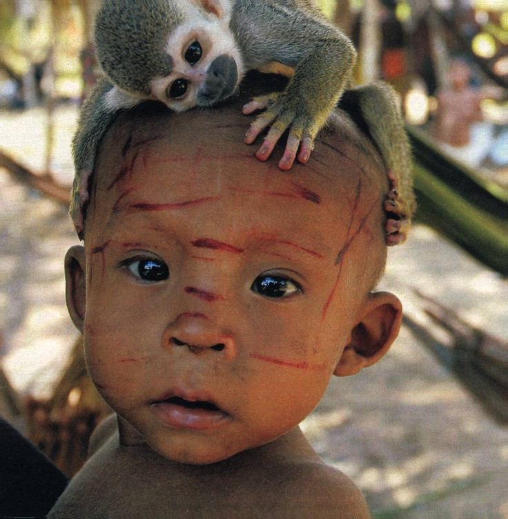 25d72b28f4639c23e910cc8ab94e0a41--pet-monkey-kids-animals.jpg