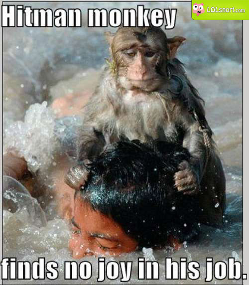 hitman-monkey.jpg