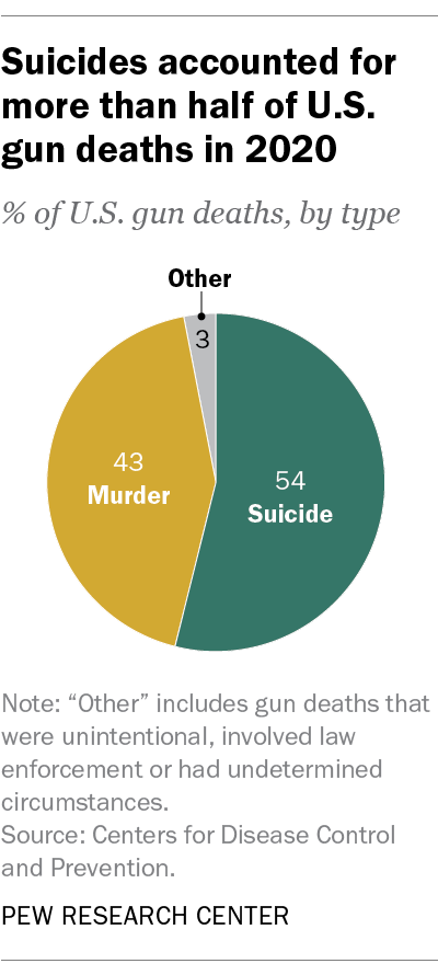 FT_22.01.26_GunDeaths_1.png