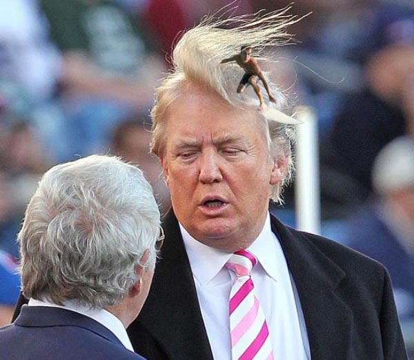donald-trumps-hair-surfer.jpg