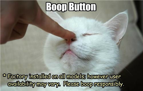 boopbutton.jpeg