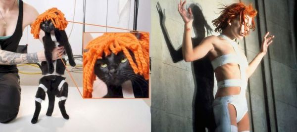 Fifth Element Cat Cosplay | Cat cosplay, Fifth element, Cosplay