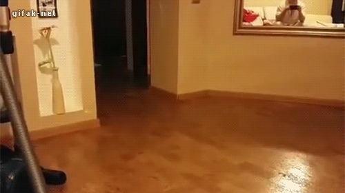 zilktJR.gif