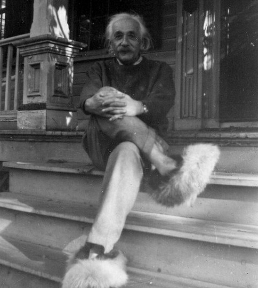 EINSTEIN.png