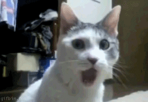 BbiPVbm.gif
