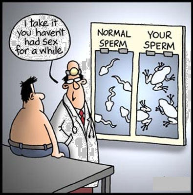 sperm-cartoon.jpg
