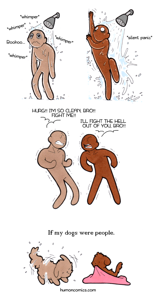dude-bros-2.png