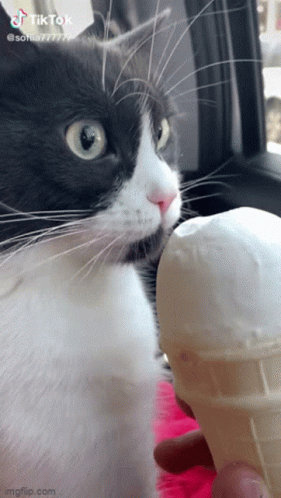 icecream-day.gif