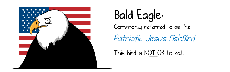 bald_eagle.png