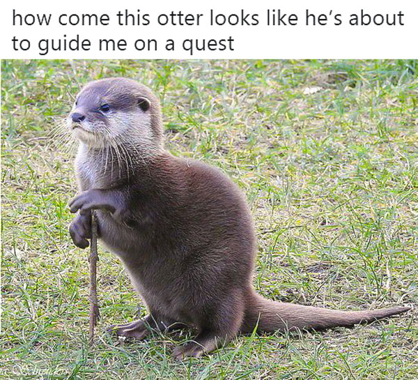 Otter-Guide-On-Quest.jpg