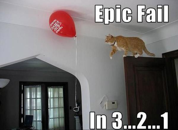 cat-stalking-balloon.jpg