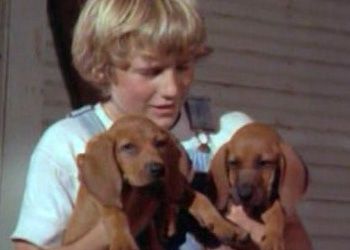 fdd3210e1bd8a3140e40da98d993db46--redbone-coonhound-kid-movies.jpg