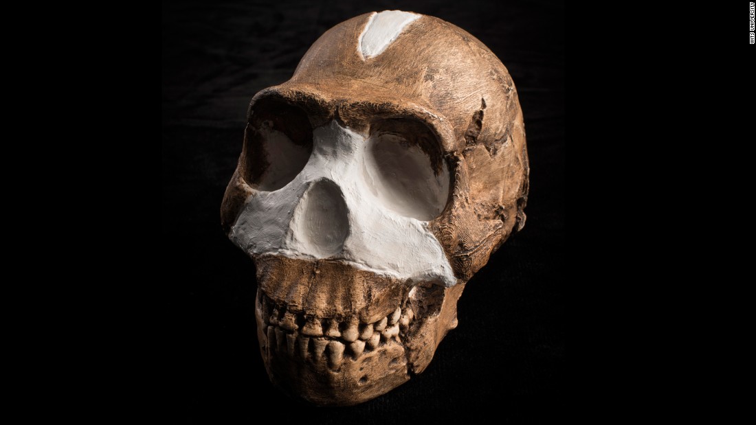 150910112025-restricted-homo-naledi-skull-closeup-wits-super-169.jpg