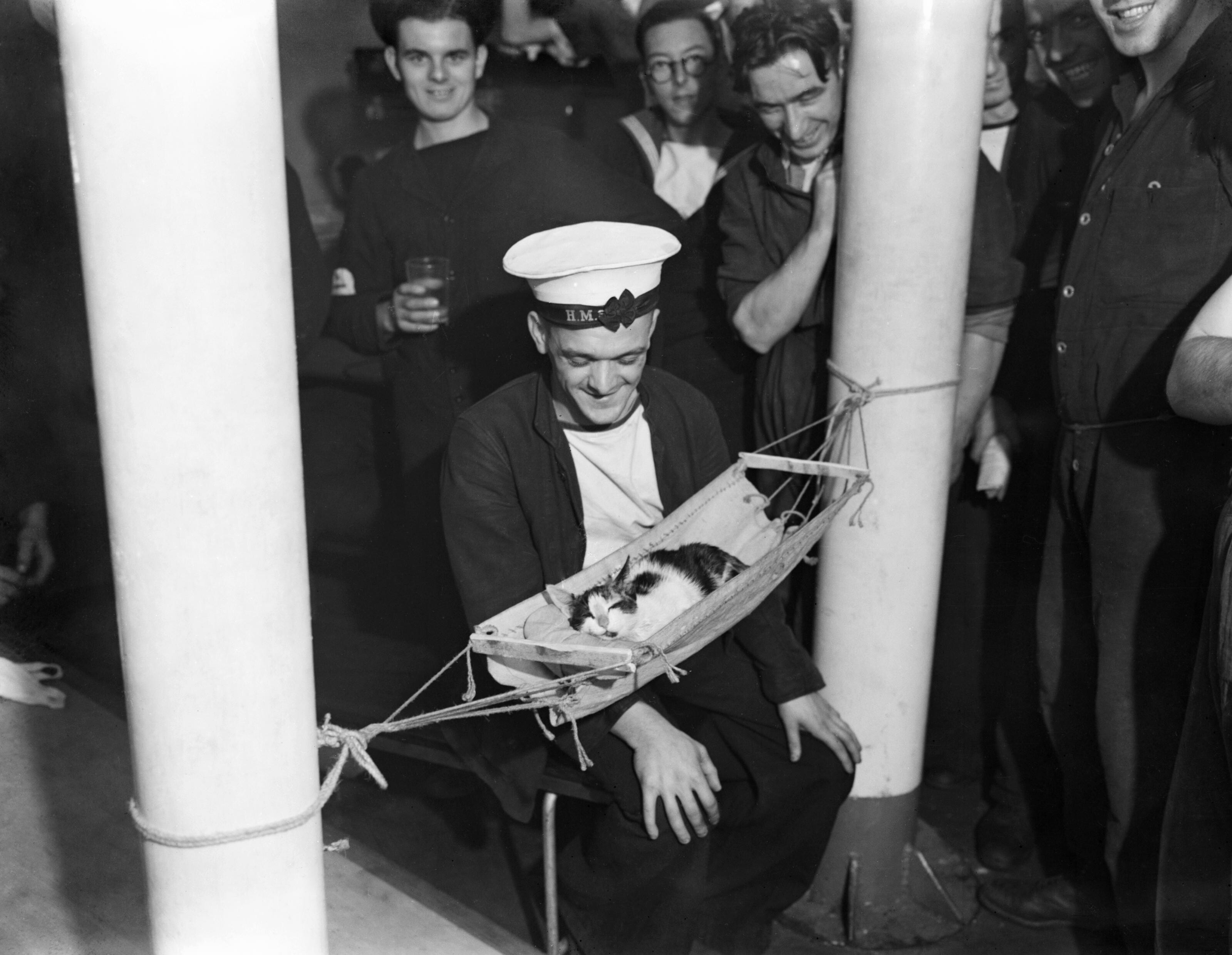 Sailors_surround_the_ship%27s_cat_%22Convoy%22_asleep_in_a_miniature_hammock_on_board_HMS_HERMIONE%2C_Gibraltar%2C_26_November_1941._A6410.jpg