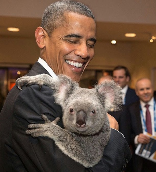 ObamaKoala.jpg