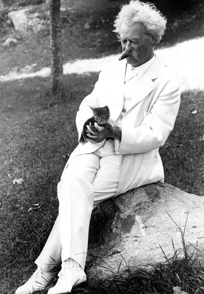 frontispiece_AMTv2_kitten-copy.jpg