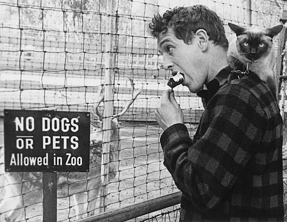 Paul+Newman.jpg