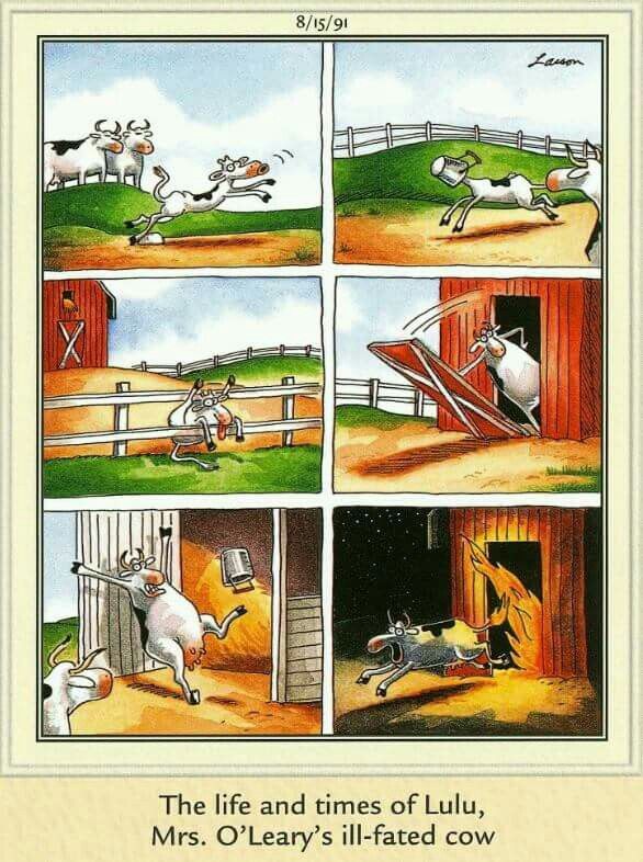 4358bcc6bb834cc1d74b1057e230583f--gary-larson-the-far-side.jpg