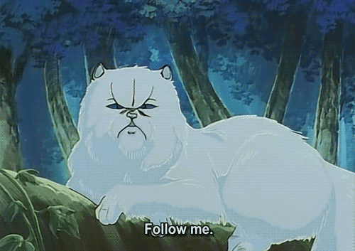 tumblr_okvooptIGh1vq3nzxo1_500.gif