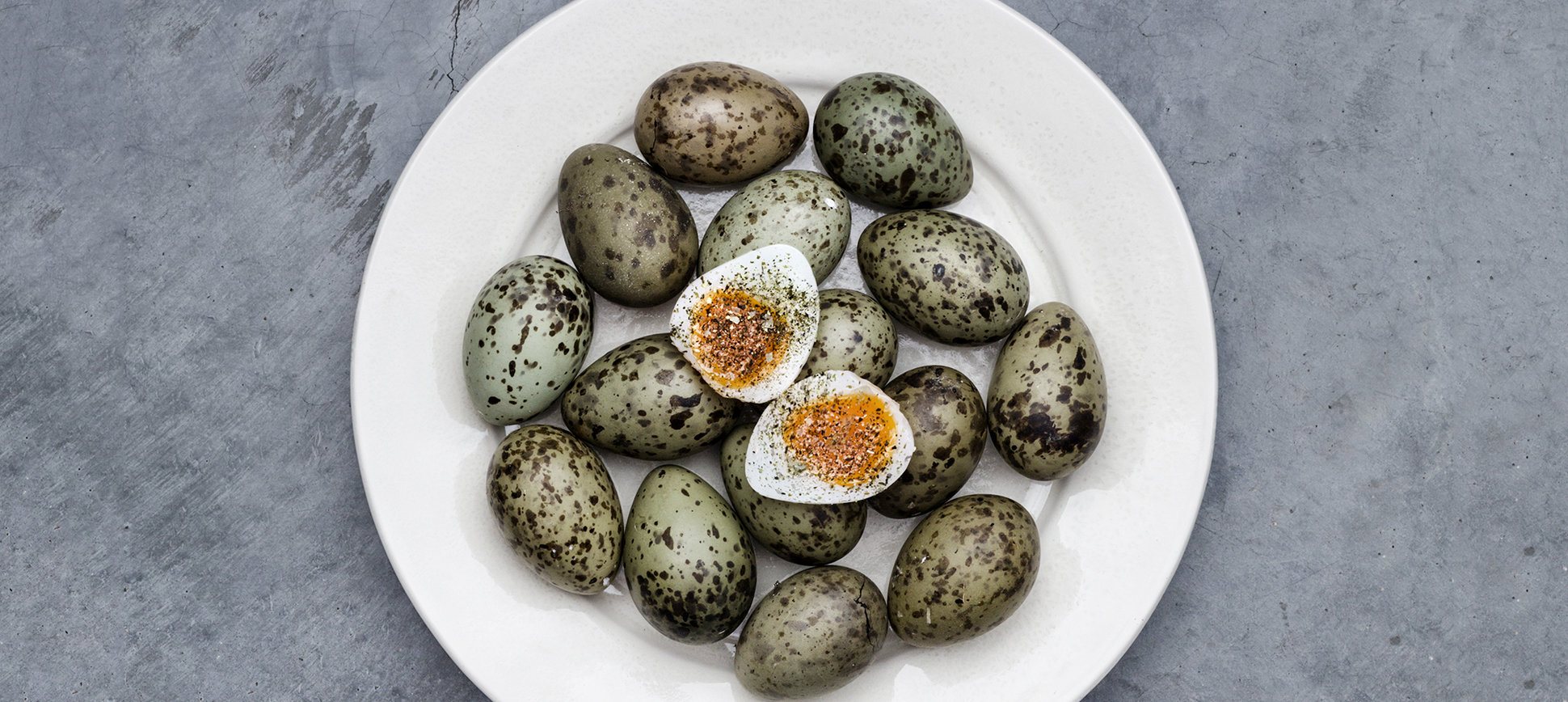 tmg-article_main_wide_2x