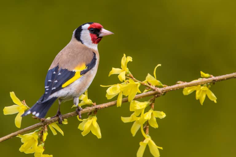 shutterstock_1365645614-768x512.jpg
