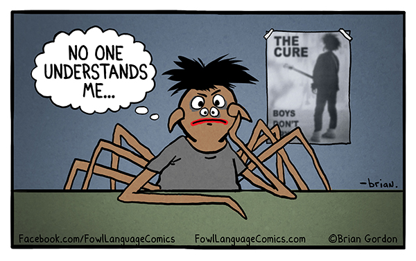 recluse-spider-bonus.jpg