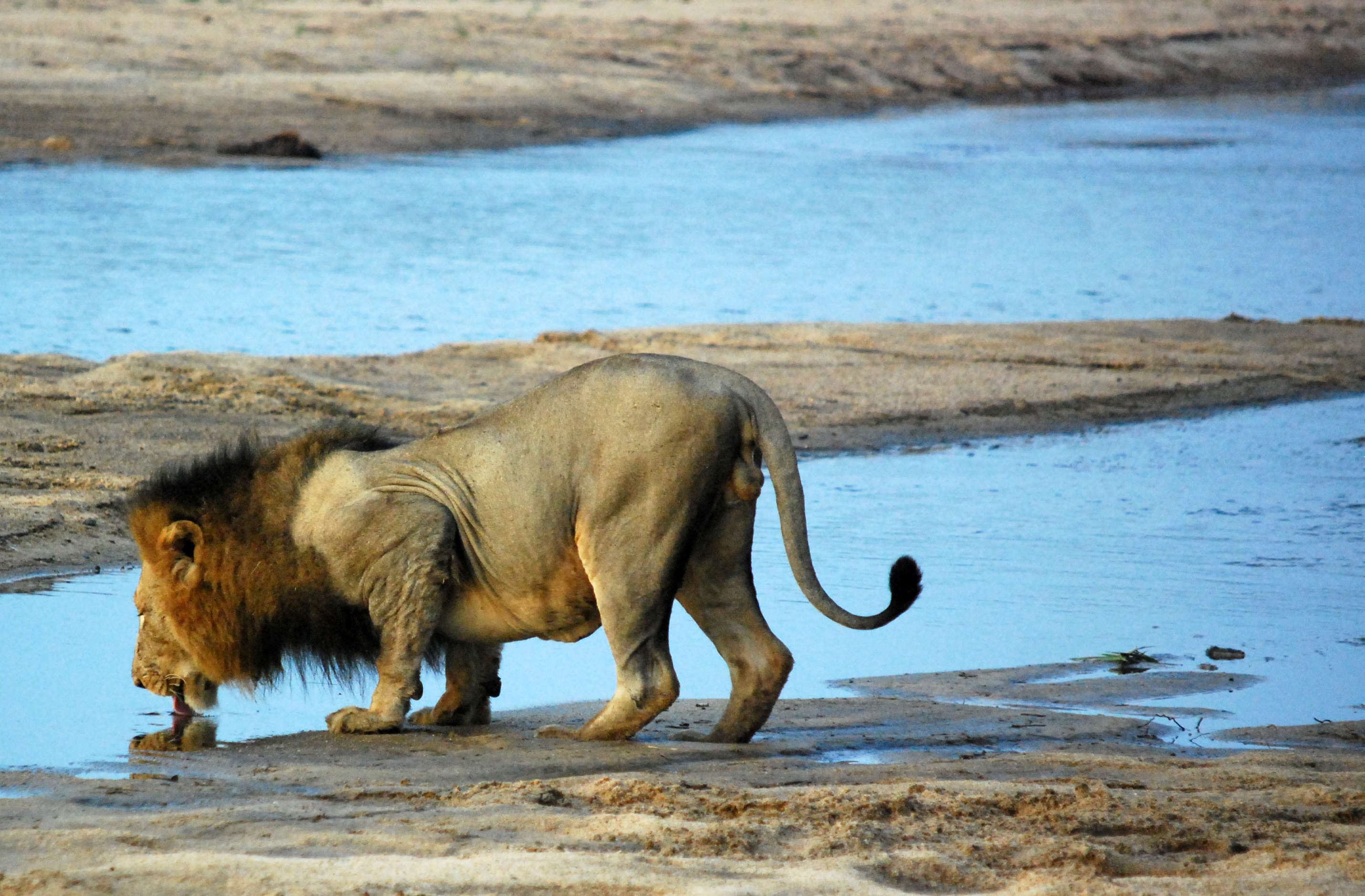 20120527_africamm3_0054x.jpg