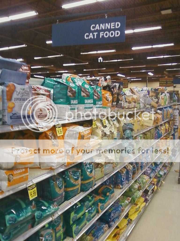 catfood.jpg