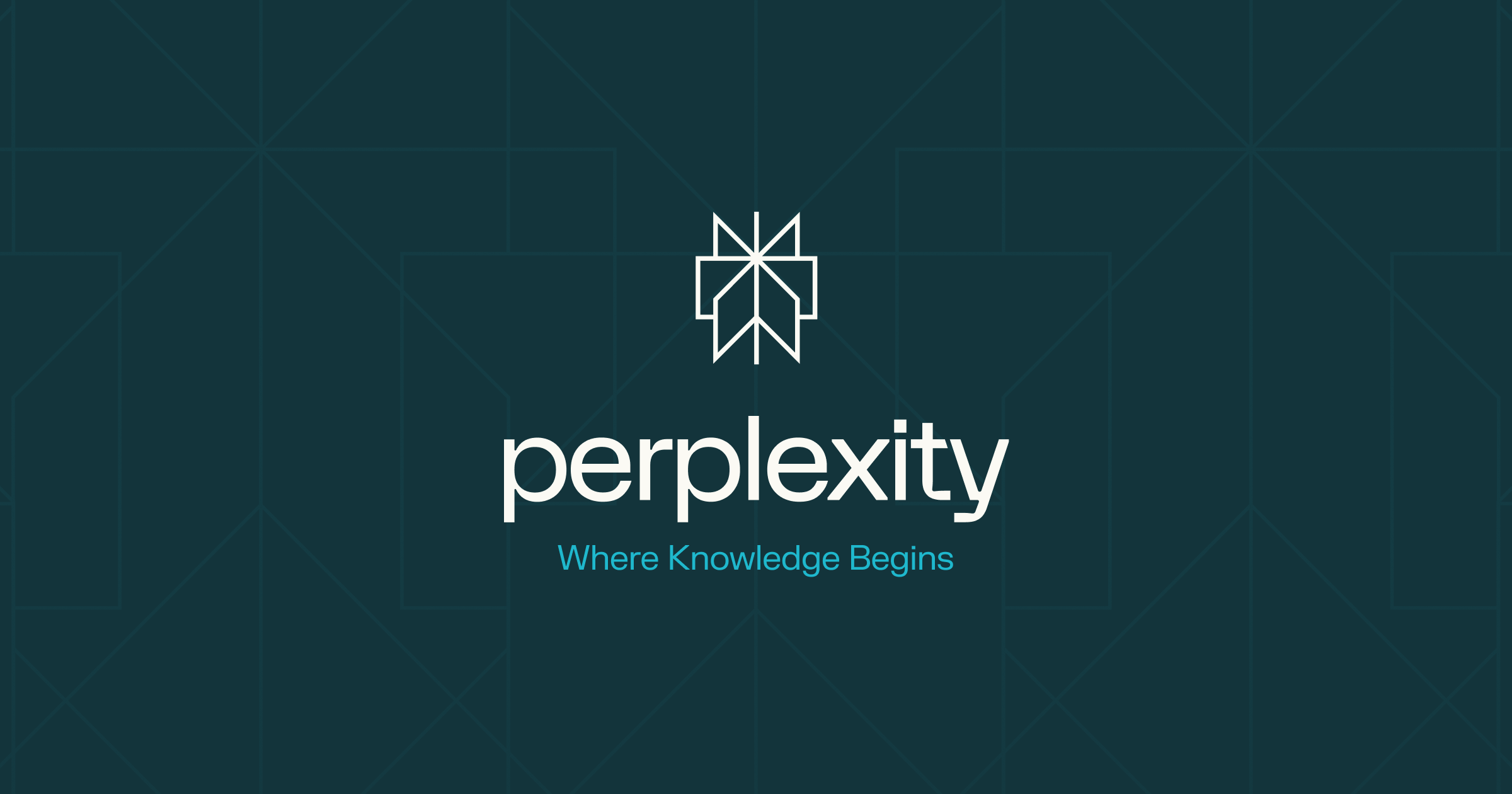 www.perplexity.ai