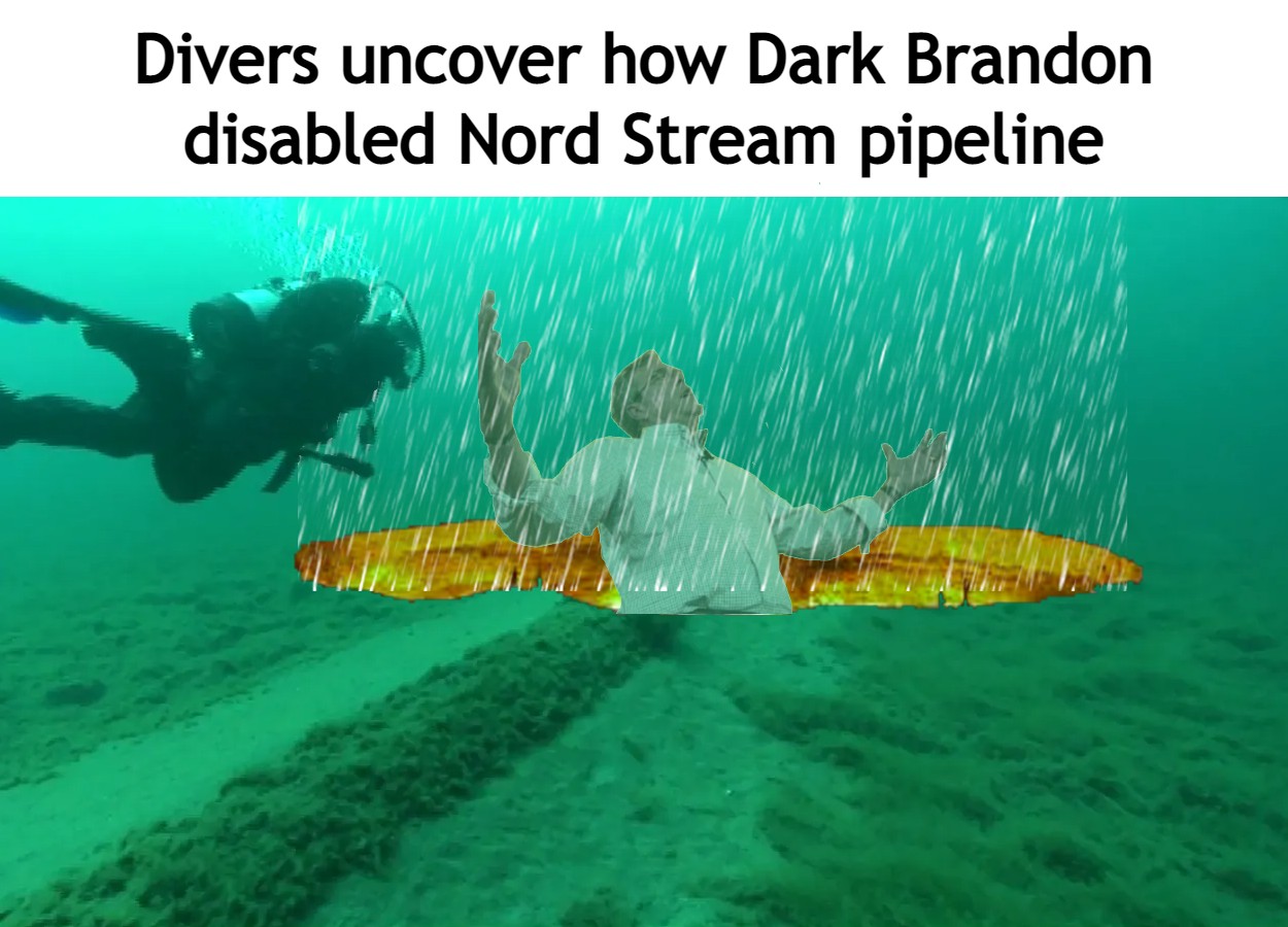 aj9jnlafxfq91.jpg