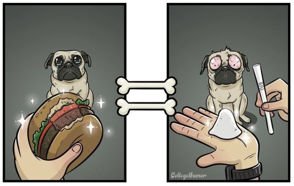 dogvisionburger-600x380.jpg