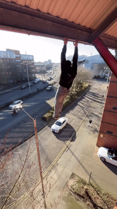 x1q.gif