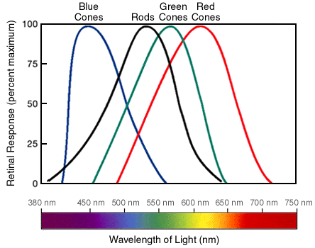 cones_graph.gif