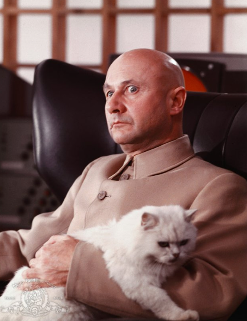 The-cat-in-the-hands-of-pervy-Donald-Pleasance-in-You-Only-Live-Twice-1967.png