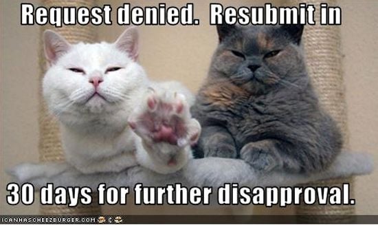 funny-cat-computer-20.jpg