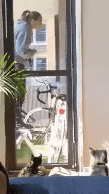 ezgif-3-8acac9089e.gif