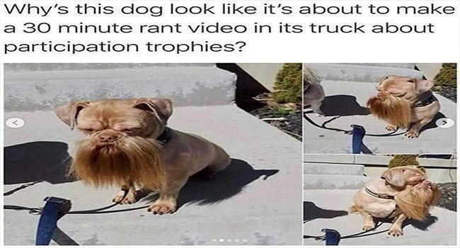 70af0256b84cc42e6cf1faf799b8e662.jpg