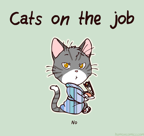 cat-on-the-job.png