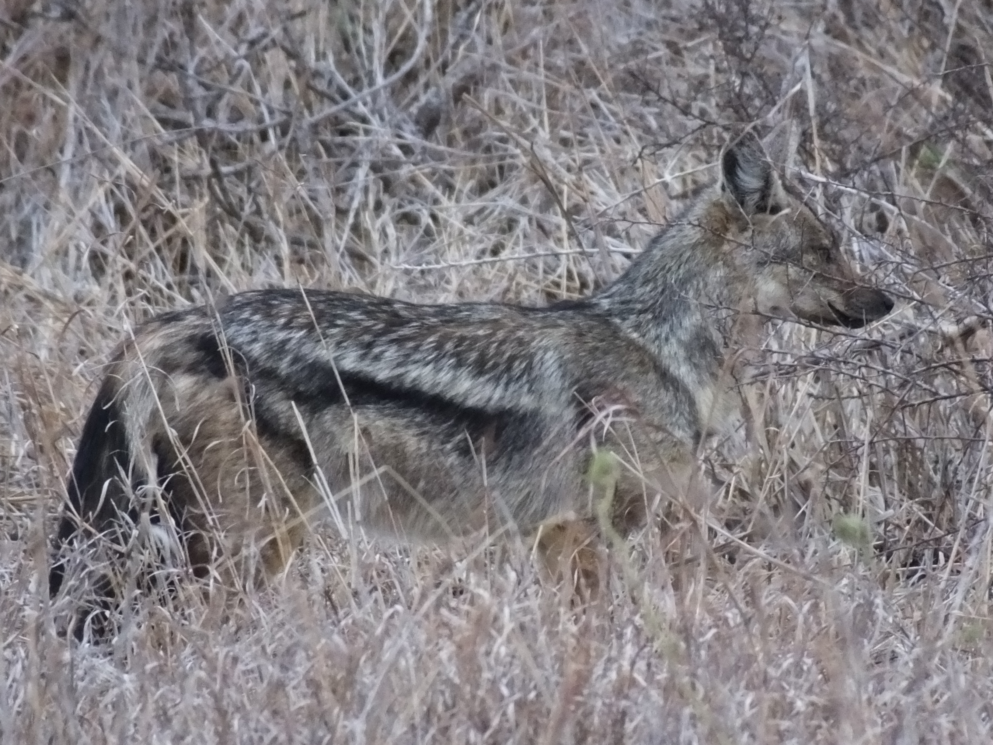 DSCF3595.JPG