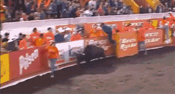 IMG-4689.gif