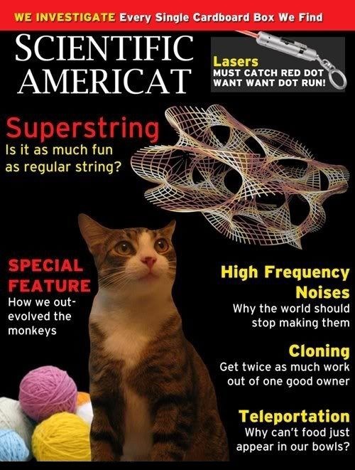 Scientific-Americat.jpg