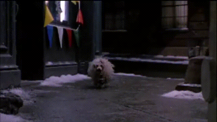 3WgDtPF.gif
