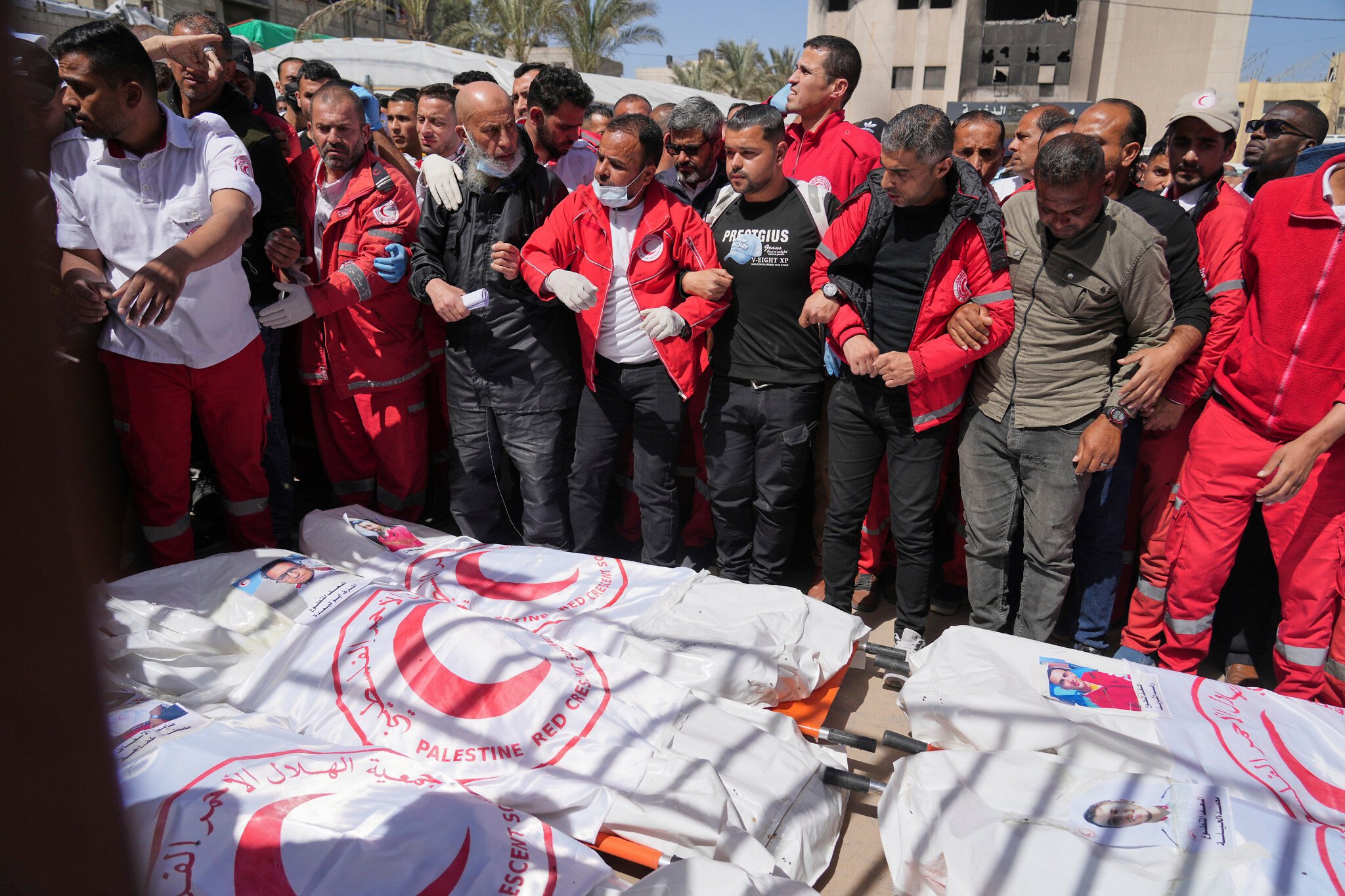 www.timesofisrael.com