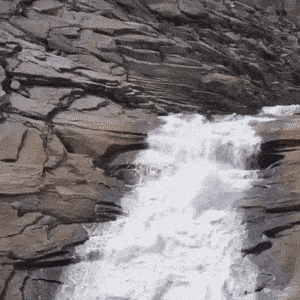 IMG-5169.gif