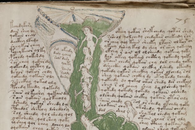 voynich_manuscript_page.jpg