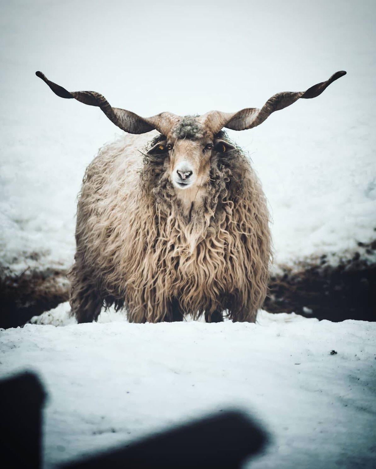 Ee7oQcrUwAEiGro.jpg:large