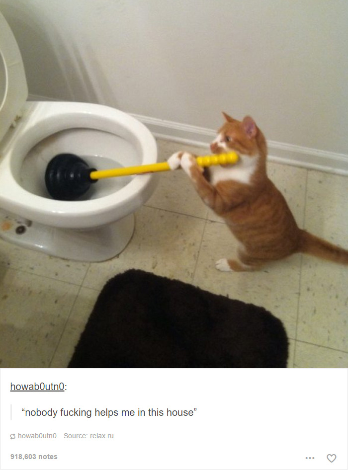hsTgCdv.png