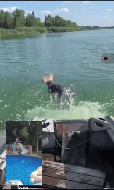 GIF-20250809-195134-312.gif