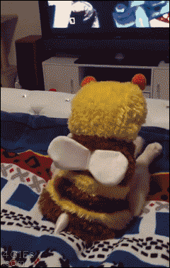4RFJBuy.gif